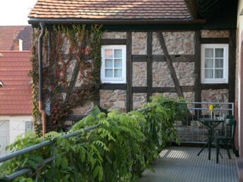 Das Wandern ist... auch meine Lust - 3 Tage durch die Pfalz