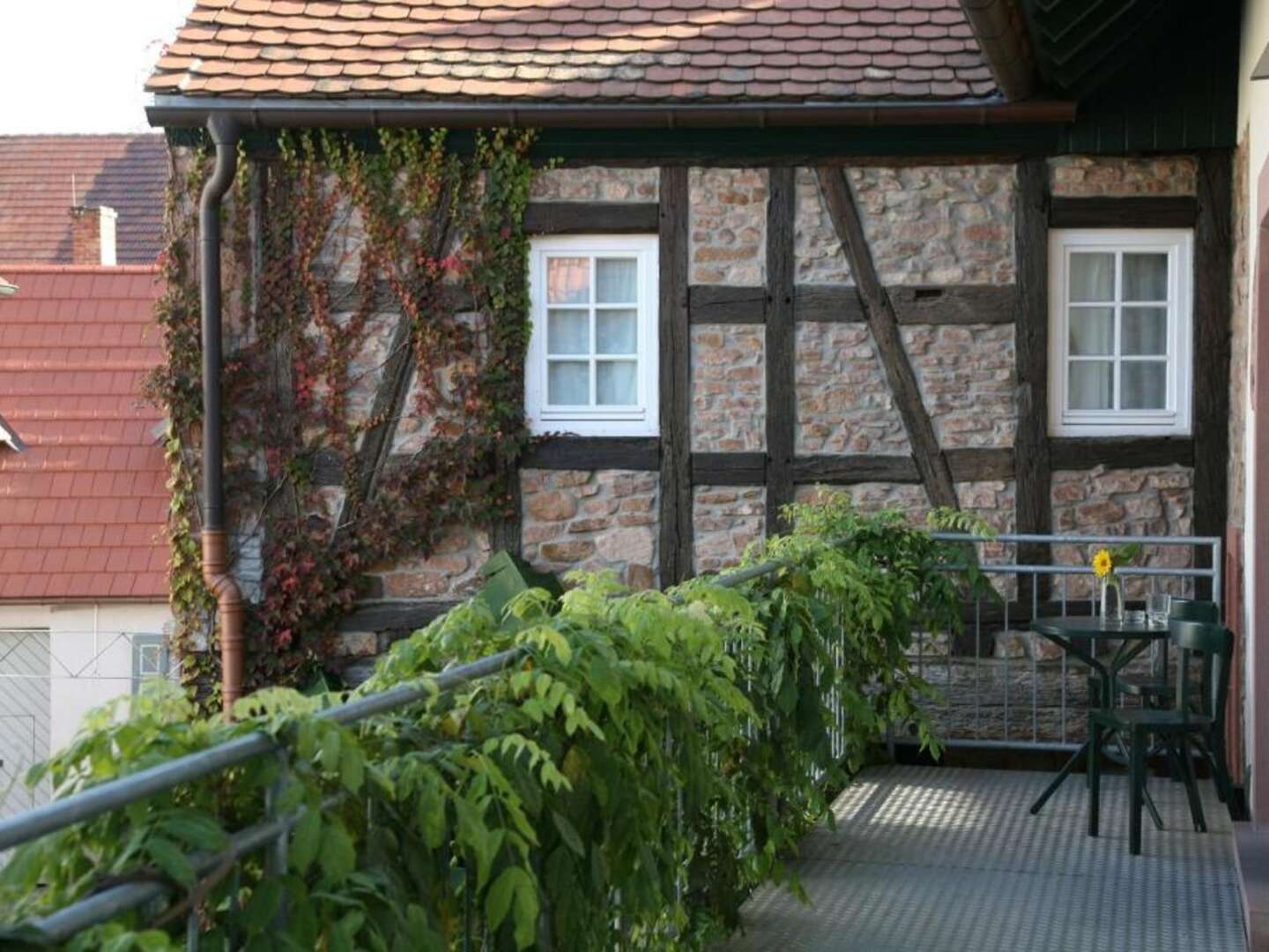 Das Wandern ist... auch meine Lust - 3 Tage durch die Pfalz