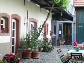 Das Wandern ist... auch meine Lust - 3 Tage durch die Pfalz