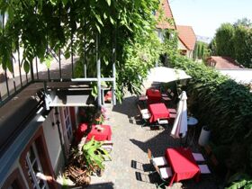 Das Wandern ist... auch meine Lust - 3 Tage durch die Pfalz