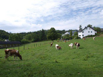 Bild 19 von 36