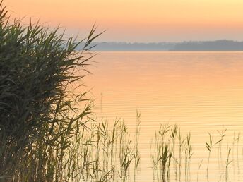 Bild 34 von 37