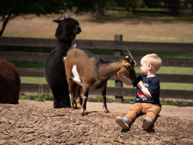 Silvester in Plau am See 