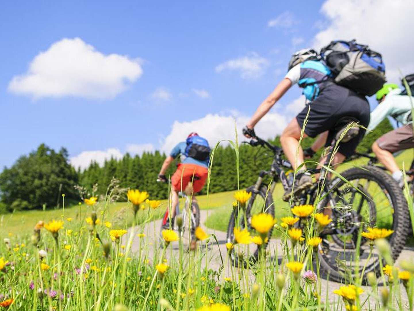 All inklusive in der Eifel - 5 Tage 