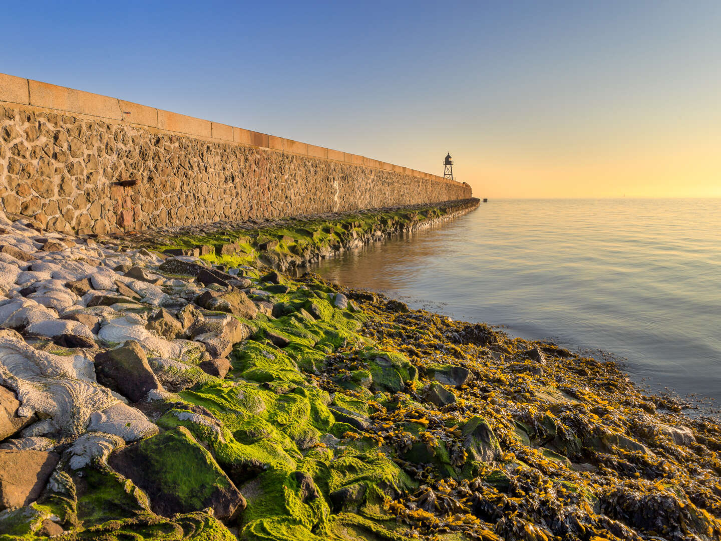 3 Tage Jadebusen und Nationalpark Niedersächsisches Wattenmeer erleben!