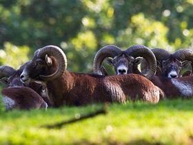 Große Auszeit im Südharz
