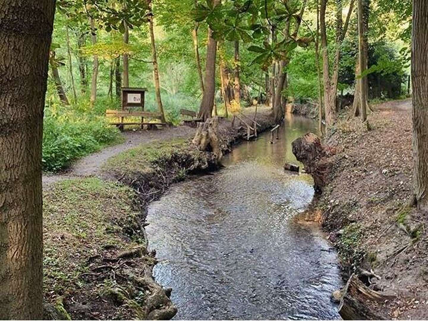 See-Zeit gleich Auszeit am schönsten See in Brandenburg 