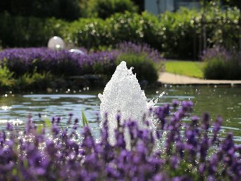 Landidyllische Wanderlust im Hunsrück inkl.  Halbpension