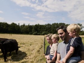 Landidyll - Kennenlerntage im Hunsrück inkl. Halbpension