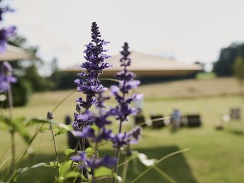 Landidyllische Wanderlust im Hunsrück inkl.  Halbpension