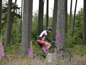 Landidyll - Kennenlerntage im Hunsrück inkl. Halbpension
