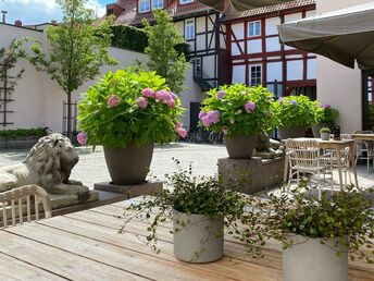 3 Tage - Kennenlern-Arrangement 