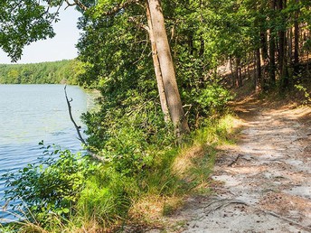 Kleine Auszeit im Schwarzwald im Sommer & Herbst 