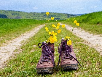 Pfälzer Höhenwegtour 3 Tage inkl HP
