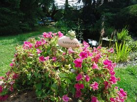 Städtebummler inkl. 1 x Abendessen & Schwerin Ticket