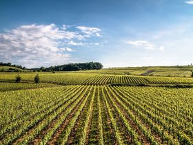 Relax Tage am Bodensee mit Therme Meersburg