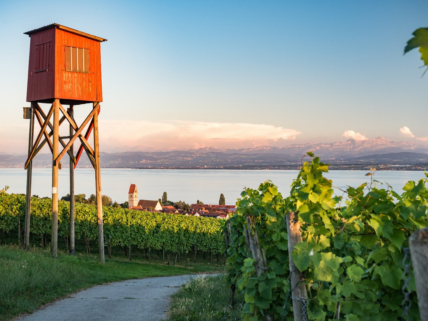 Die Bodenseewoche in Hagnau