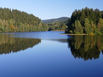 Augustschnapper mit Tankgutschein, Sommer im Harz inkl. Halbpension