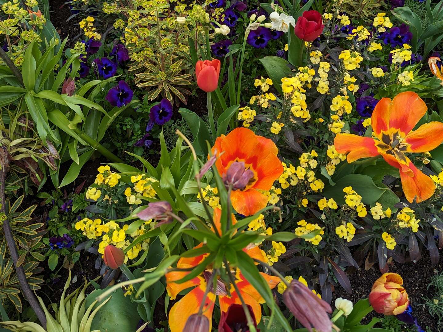 Den Frühling genießen.....Ein Ausflug zur schwäbischen Alb lohnt sich immer.... 