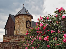 Osterarrangement 2026