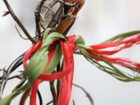 Testangebot - Vioma 2 Nächte 