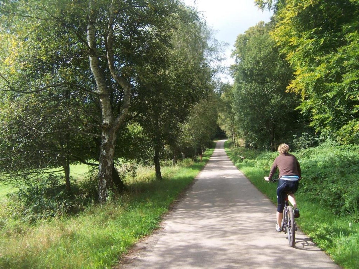 Rad Aktivurlaub an der Mosel, Saar und Ruwer 2025