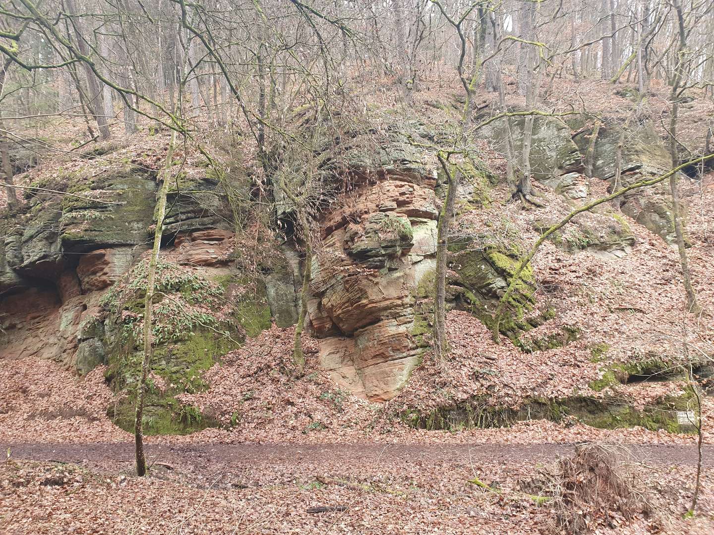  Wandern rund um Trier und an der Mosel 2025
