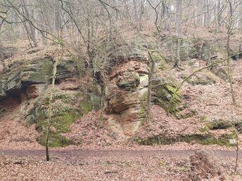  Wandern rund um Trier und an der Mosel 2025