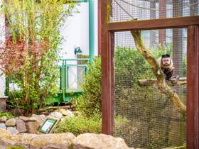 MÄDELS Trip 4 Tage I Wellness & Party auf Usedom