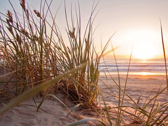 MÄDELS Trip 4 Tage I Wellness & Party auf Usedom