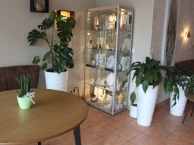 Erlebnisreiche Entdeckertage im Harz mit der HarzCard