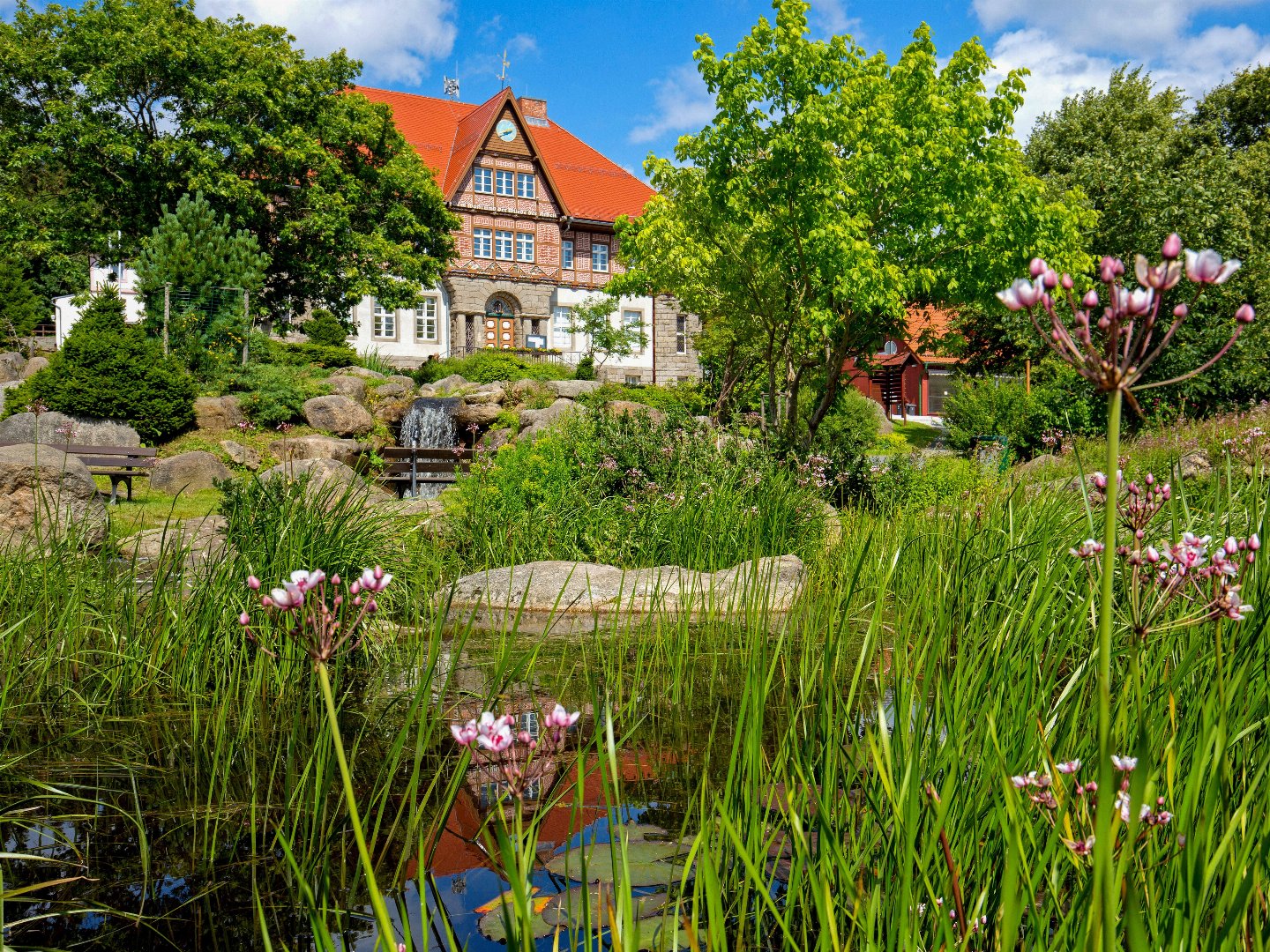 Frühlingsgeühle in Schierke am Brocken