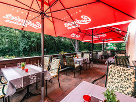 Wandern im Friedewald an der sächsischen Weinstraße inkl. Halbpension