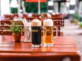 Wandern im Friedewald an der sächsischen Weinstraße inkl. Halbpension