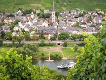 Bild 31 von 37