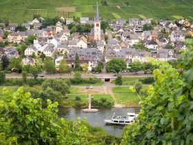 Mosel hautnah inkl. Halbpension | 5 Nächte