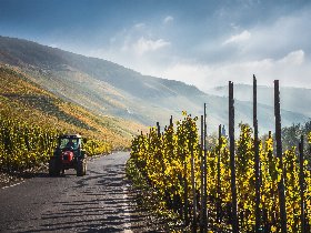 Winzer-Zeit an der Mosel mit Weinprobe 