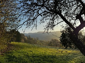 Eintauchen in die Natur – ihr Retreat im Wiesenruhe Tiny House