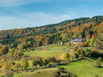 Eintauchen in die Natur – ihr Retreat im Wiesenruhe Tiny House