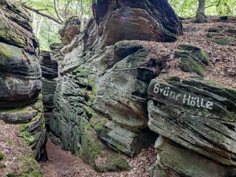 Eintauchen in die Natur – ihr Retreat im Wiesenruhe Tiny House