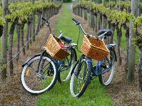 5 Tage....Auszeit.....an der Mosel inkl. Halbpension