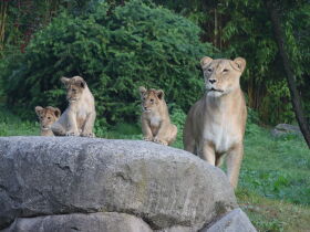 Entspannung & Sightseeing in Leipzig | 3 Tage