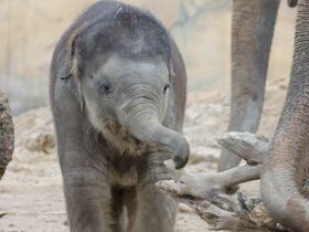 Entspannung & Sightseeing in Leipzig | 3 Tage