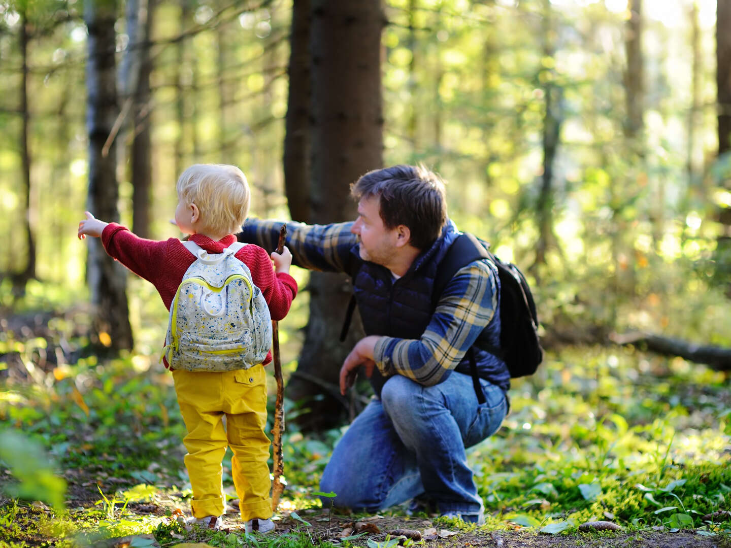 Familien Auszeit im Harz - 4 Tage zum Sommer-Spar-Preis inkl. Halbpension
