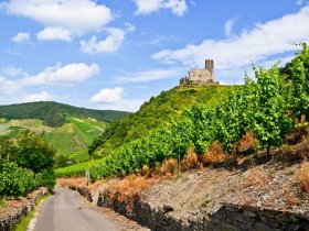 4 Kennenlerntage an der Mosel inkl. Wein & Gutschein Schiffsrundfahrt