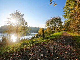 4 Kennenlerntage an der Mosel inkl. Wein & Gutschein Schiffsrundfahrt