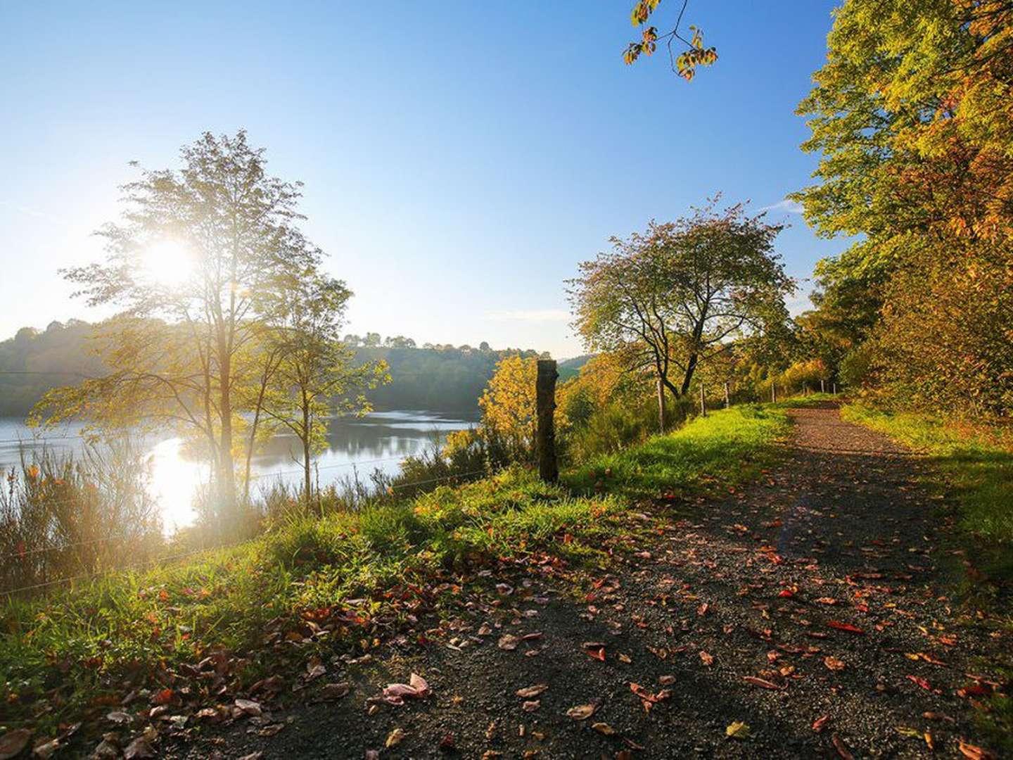 4 Kennenlerntage an der Mosel inkl. Wein & Gutschein Schiffsrundfahrt