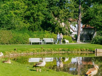 4=3 im Teutoburger Wald inkl. HP | 
