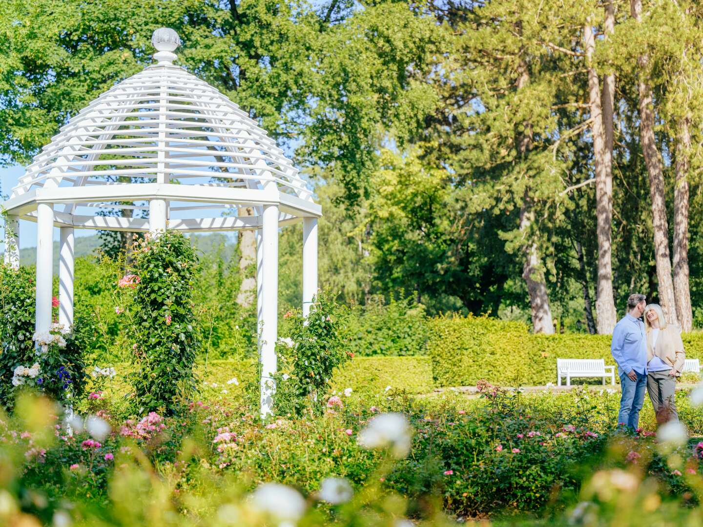 4=3 im Teutoburger Wald inkl. HP | 