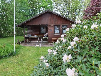 Bild 6 von 37